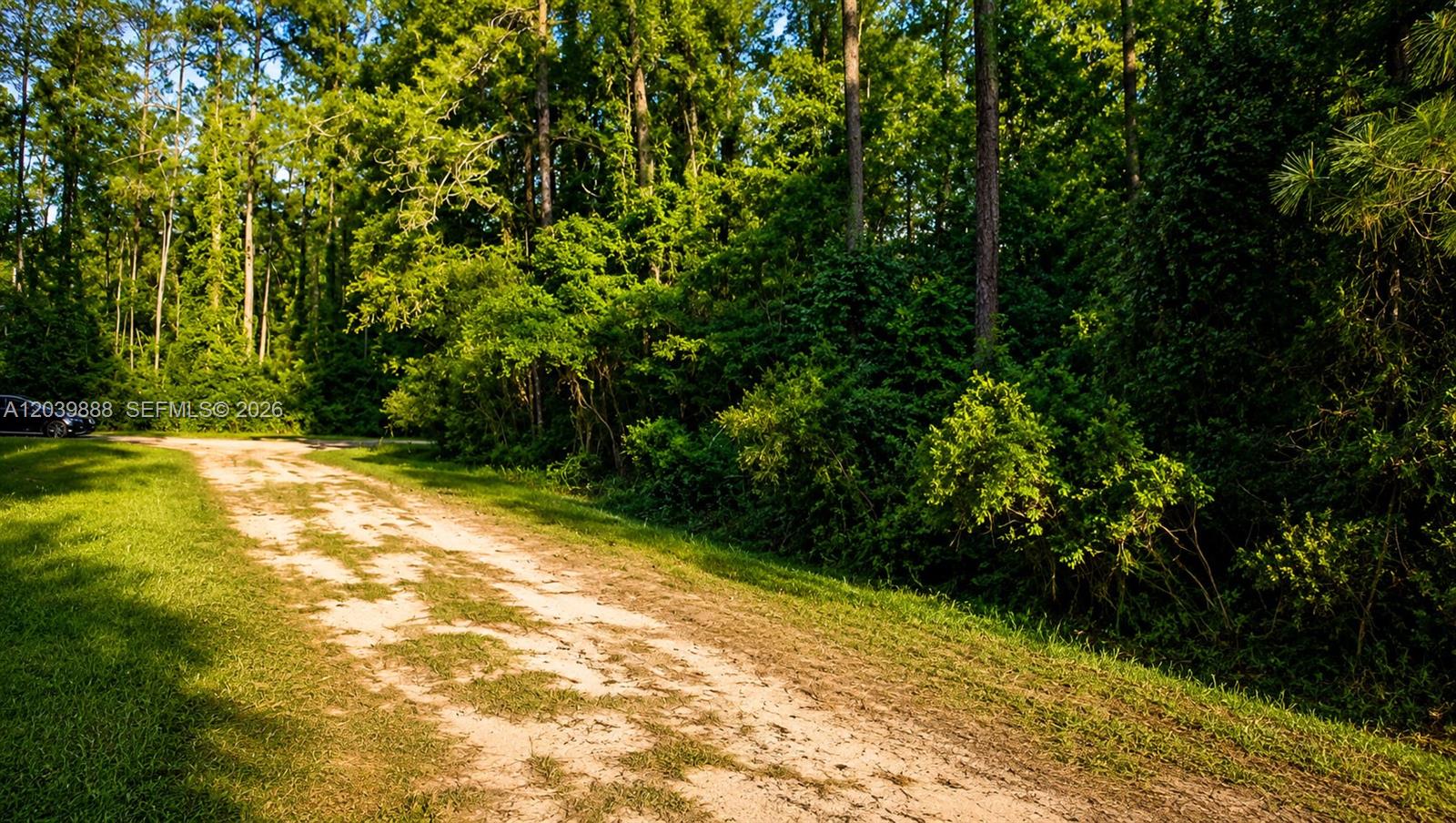 A dirt path winds through a grassy area bordered by a dense forest of trees — OTHER CITY - IN THE STATE OF FLORIDA, FL