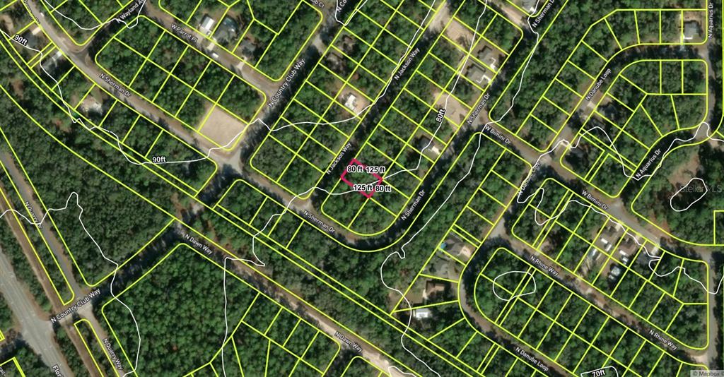 This is a satellite map view showing a highlighted rectangular residential lot in a neighborhood — 9321 N JACKSON WAY, CITRUS SPRINGS, FL