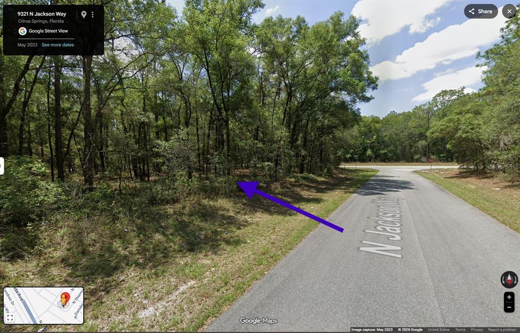 A street-level view shows a wooded, undeveloped lot along a paved road in Florida — 9321 N JACKSON WAY, CITRUS SPRINGS, FL