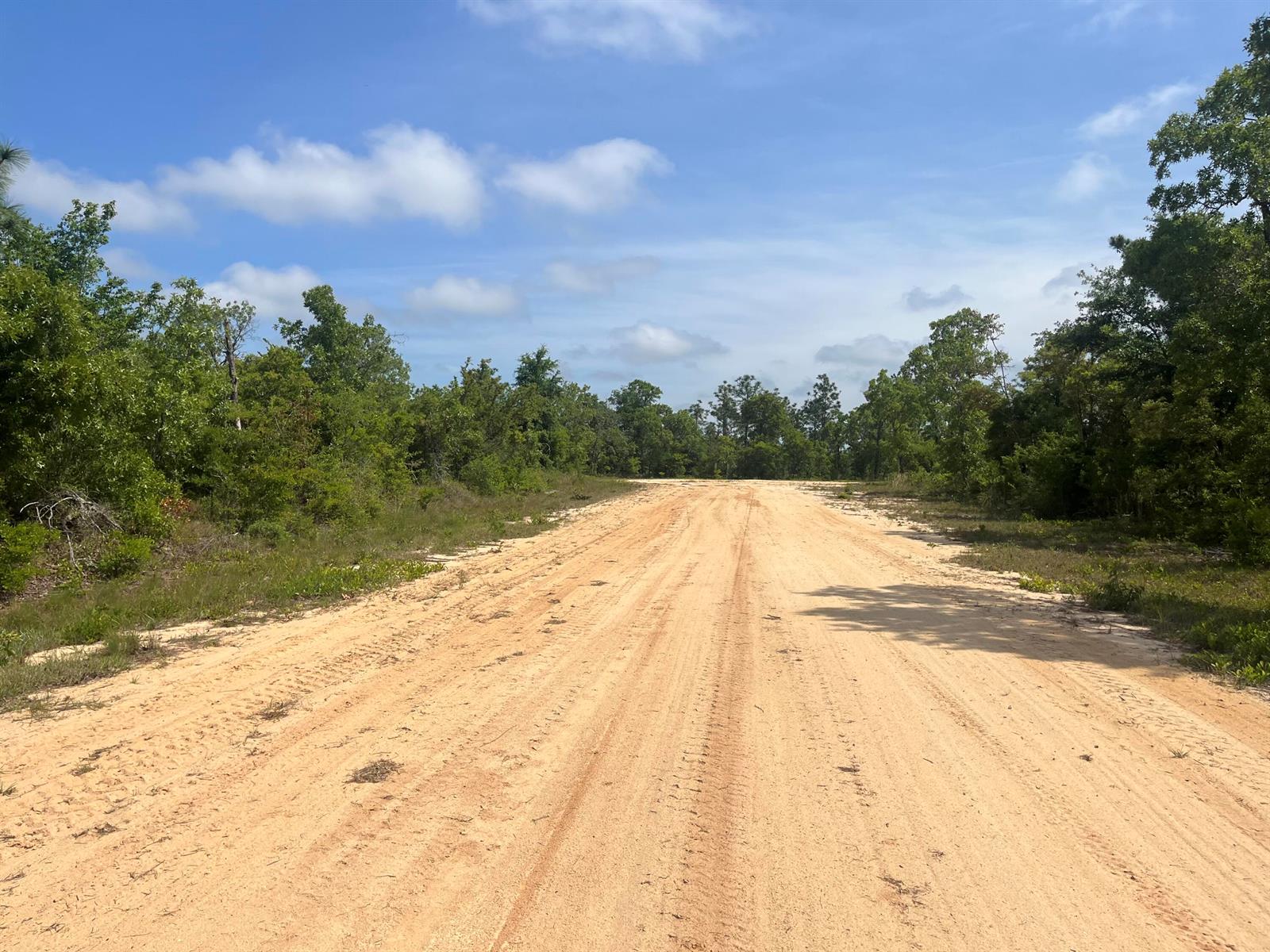 A dirt road stretches through a wooded area under a blue sky with scattered clouds — Tbd Rome Avenue, FL 32420, FL