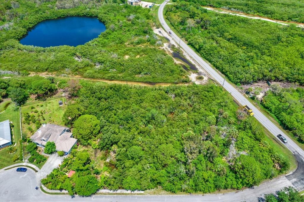 An aerial view shows a house, a large wooded lot, a pond, and a road — OSCEOLA COURT NE, ST PETERSBURG, FL