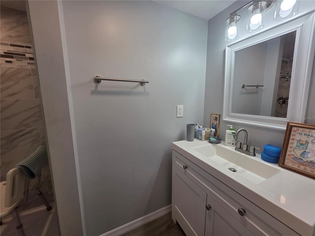 A bathroom features a white vanity with a sink, a wall-mounted towel bar, and a mirror — 34924 TALISMAN STREET, DADE CITY, FL