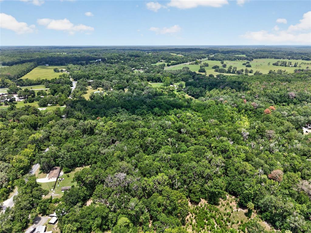 An aerial view shows a dense forest landscape with scattered houses and open pasture land — 5725 NW 219TH STREET ROAD, MICANOPY, FL
