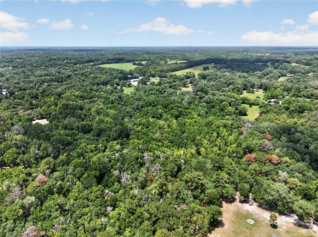 An aerial view shows a dense forest landscape with scattered clearings and distant buildings — 5725 NW 219TH STREET ROAD, MICANOPY, FL