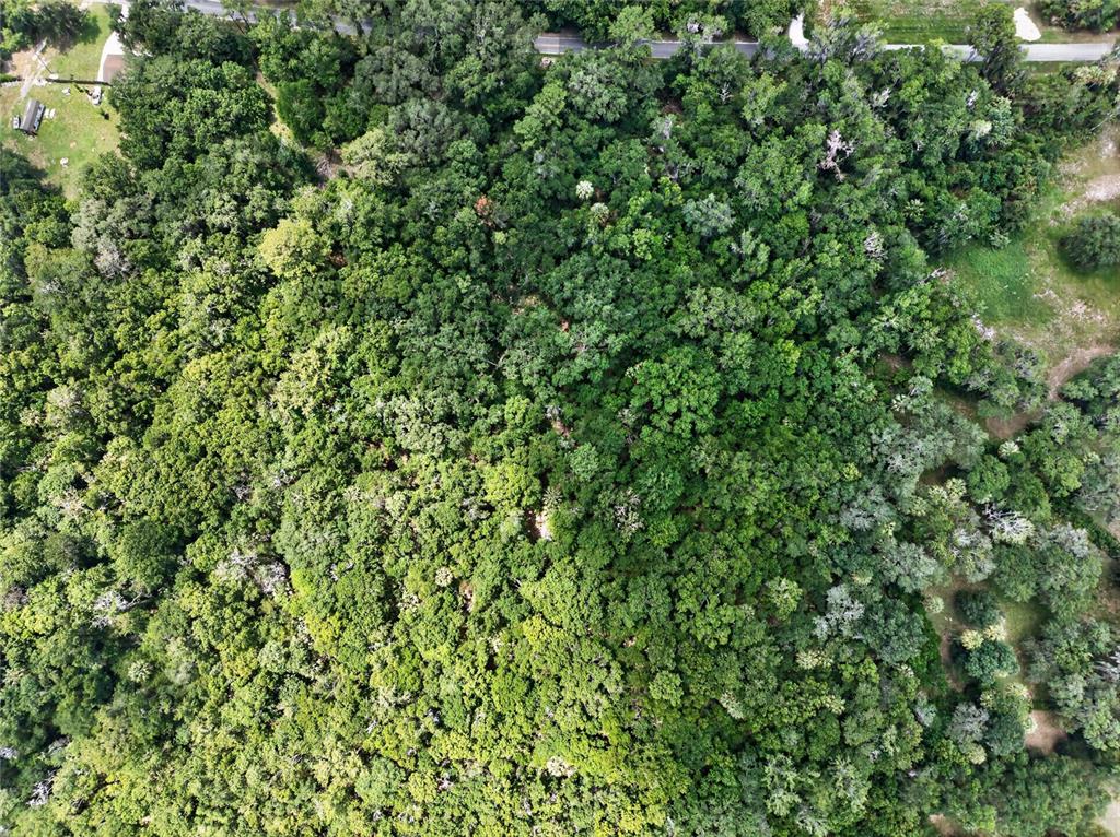 An aerial view shows a dense, wooded lot bordered by a road and grassy areas — 5725 NW 219TH STREET ROAD, MICANOPY, FL