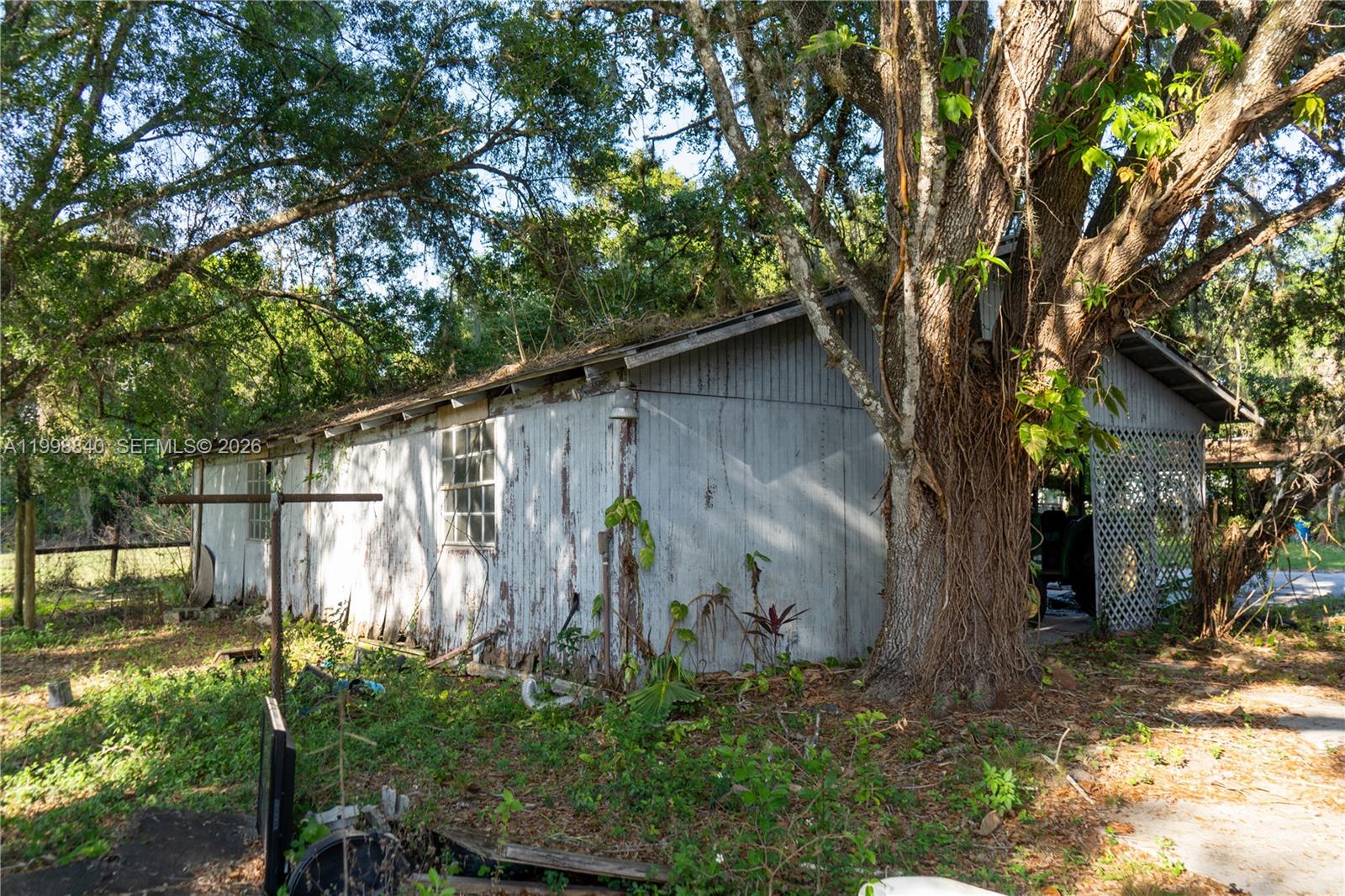 A weathered, gray wooden shed stands beneath large trees with a lattice-enclosed porch area — 120 CR 78, La Belle FL 33935, LA BELLE, FL