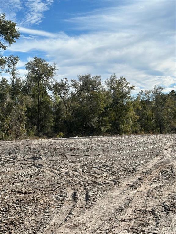 A cleared, dirt-covered lot sits in front of a line of mature trees — BERRYHILL DRIVE, WEBSTER, FL