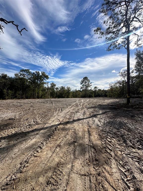 A cleared, sandy lot features tire tracks and is surrounded by trees under a blue sky — BERRYHILL DRIVE, WEBSTER, FL
