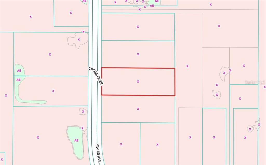 This is a flood zone map showing a rectangular property parcel outlined in red — SW 60TH AVENUE, OCALA, FL