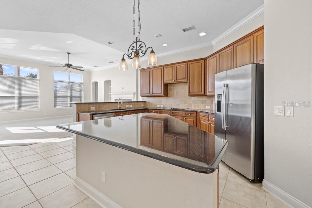 A kitchen features wood cabinets, dark granite countertops, a center island, and stainless steel appliances — 25515 HAWKS RUN LANE, SORRENTO, FL
