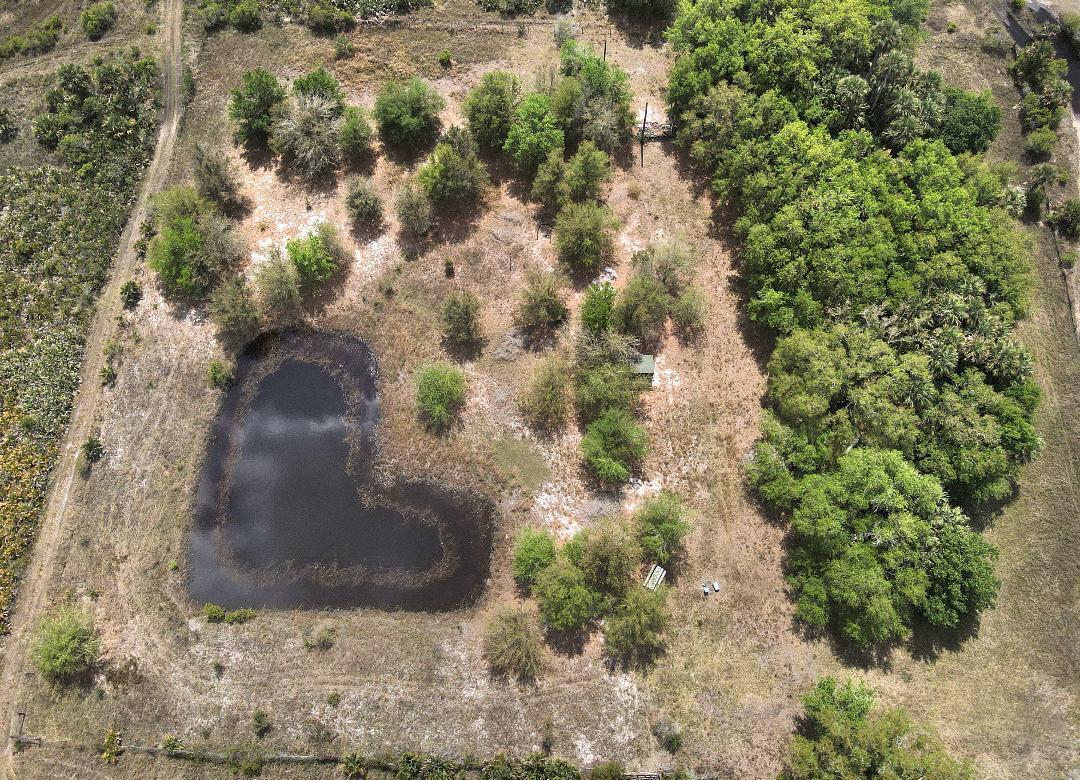 An aerial view of a rural property featuring a heart-shaped pond and scattered trees — 0 NW 308th, Okeechobee FL 34972, OKEECHOBEE, FL