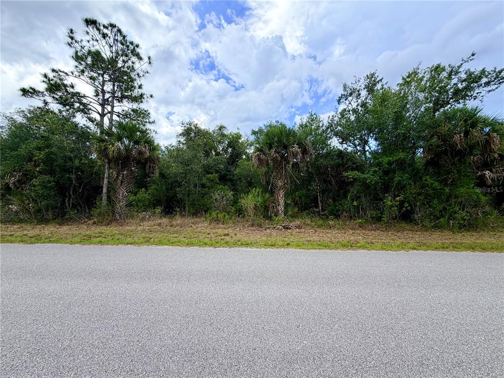 A paved road runs in front of a wooded lot with palm trees and vegetation — 13334 GOLD AVENUE, PORT CHARLOTTE, FL