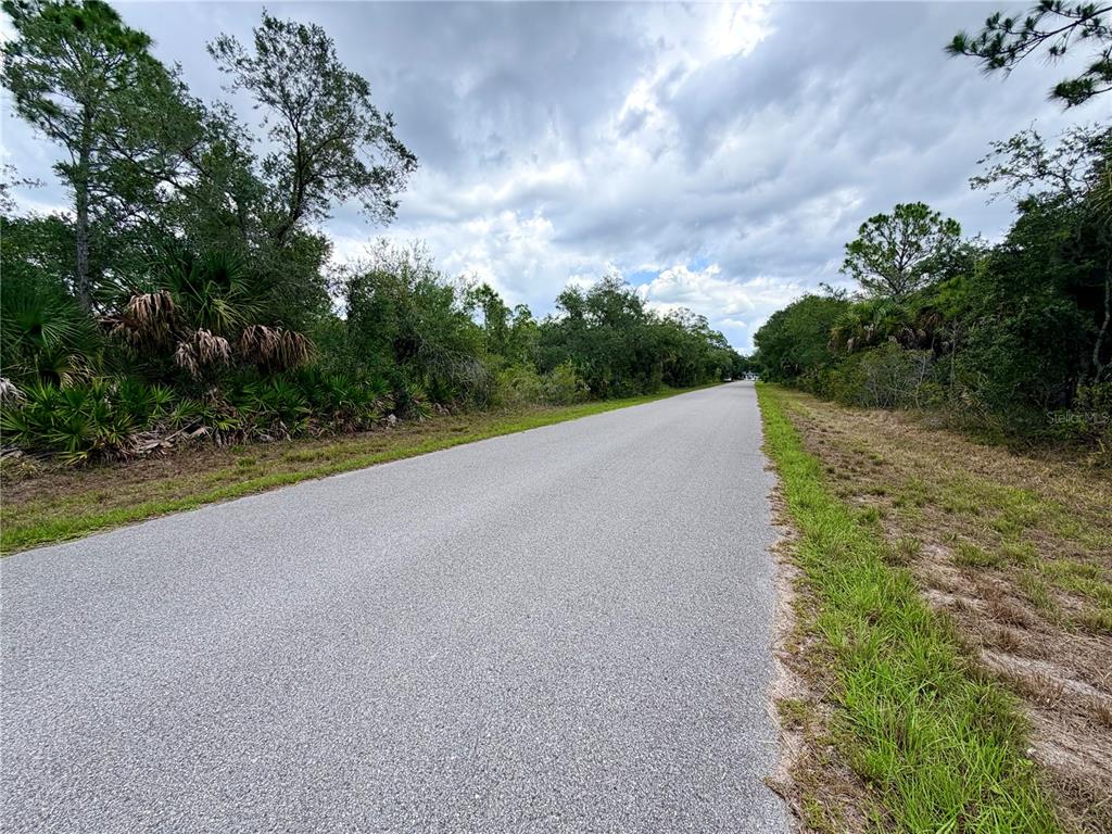 A paved road stretches into the distance, flanked by dense trees and green vegetation — 13334 GOLD AVENUE, PORT CHARLOTTE, FL