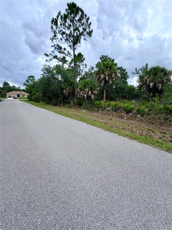 A paved road leads toward a wooded lot with palm trees and a distant house — 13334 GOLD AVENUE, PORT CHARLOTTE, FL