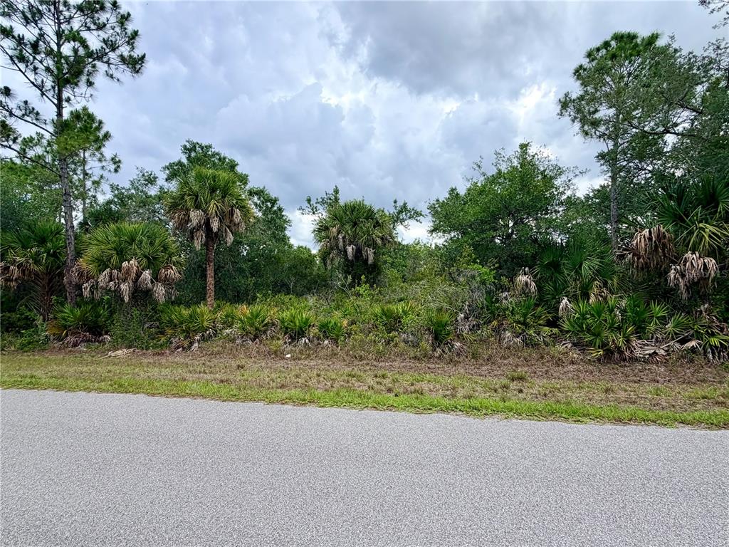 A paved road runs in front of a wooded lot with palm trees and vegetation — 13334 GOLD AVENUE, PORT CHARLOTTE, FL