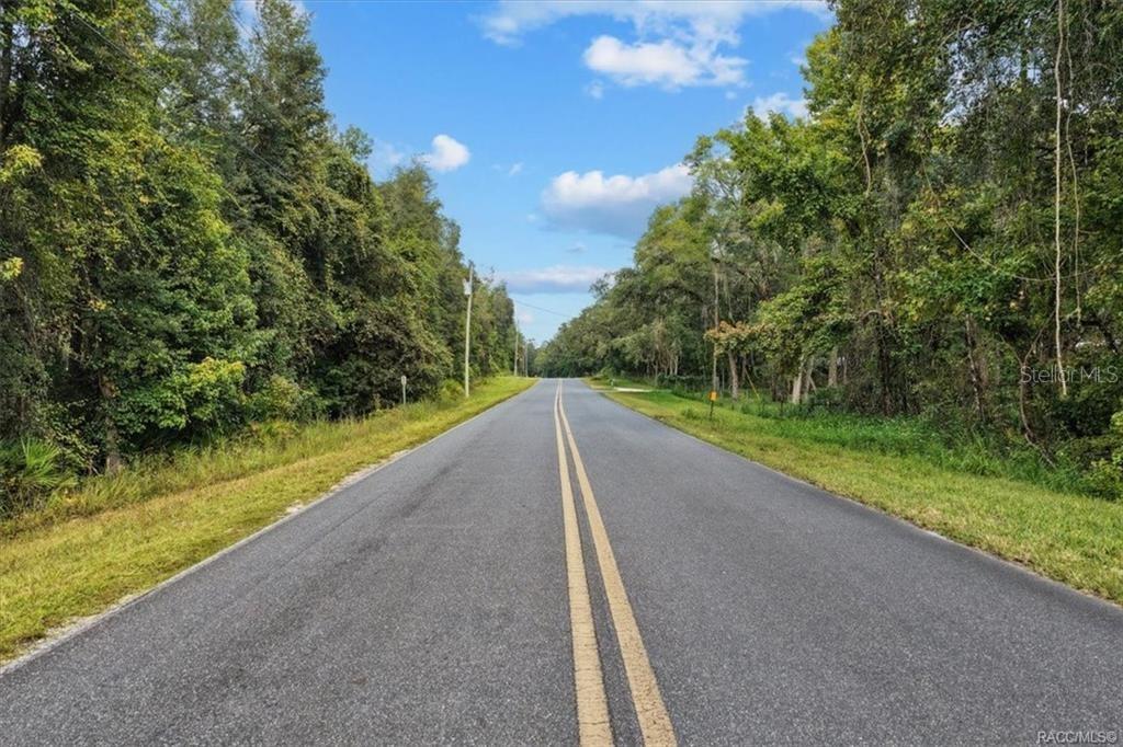 A paved two-lane road stretches into the distance, flanked by dense green trees and vegetation — 0 NE 206TH AVENUE, OLD TOWN, FL