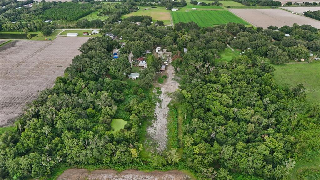 An aerial view shows a wooded property with a clearing, a small pond, and nearby houses — 2102 SYDNEY DOVER ROAD, DOVER, FL