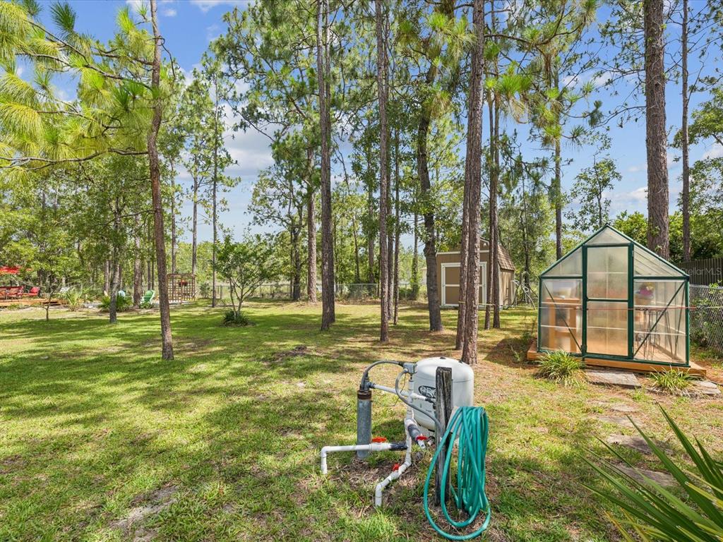 A backyard features a greenhouse, a shed, and a well pump system among pine trees — 12229 BARNEVELDE ROAD, WEEKI WACHEE, FL