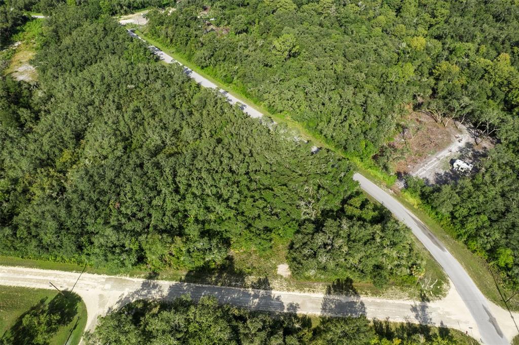 An aerial view shows a wooded lot bordered by two dirt roads with a small camper — BIGELOW AVENUE, WEBSTER, FL