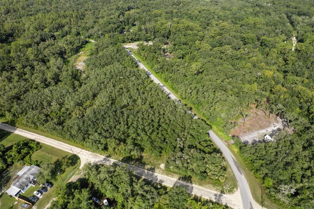 An aerial view shows a paved road winding through a dense, wooded residential area — BIGELOW AVENUE, WEBSTER, FL