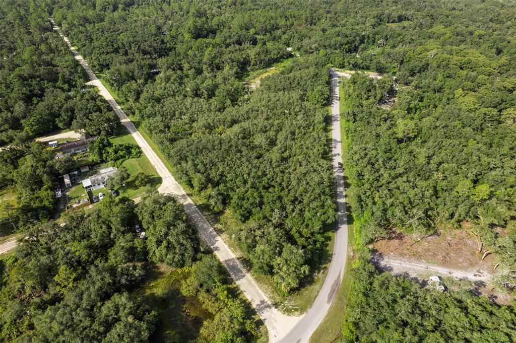 An aerial view shows two paved roads intersecting through a dense, wooded residential area — BIGELOW AVENUE, WEBSTER, FL