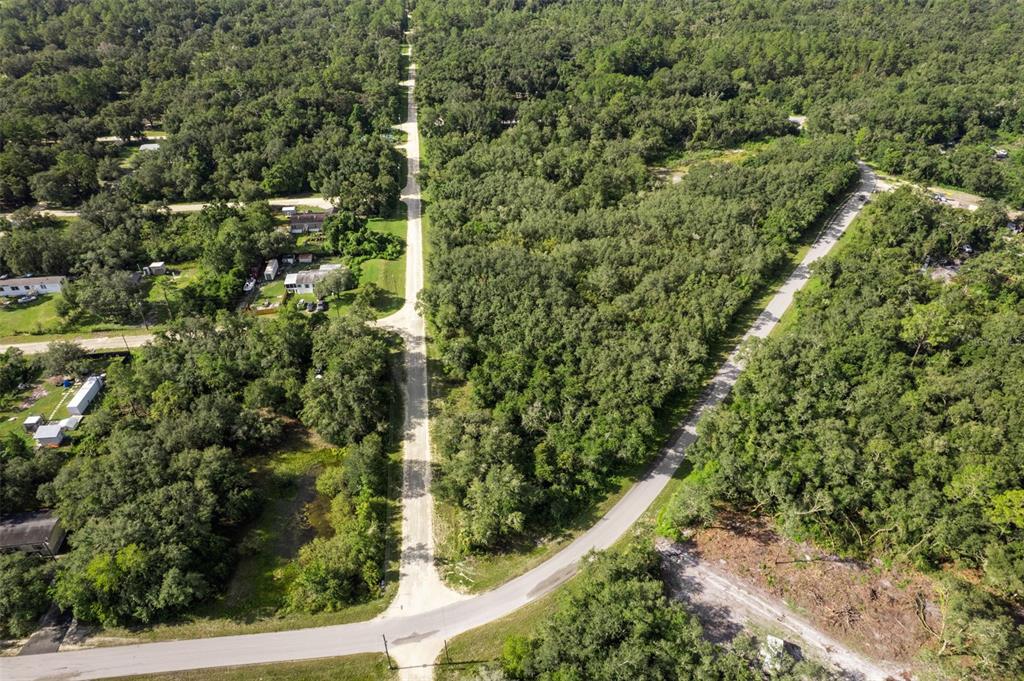 An aerial view shows a rural road intersection surrounded by dense forest and scattered houses — BIGELOW AVENUE, WEBSTER, FL