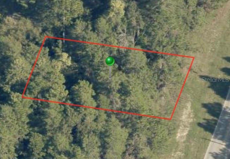 An aerial view shows a rectangular plot of wooded land outlined in red — 7748 N ELKCAM BOULEVARD, CITRUS SPRINGS, FL