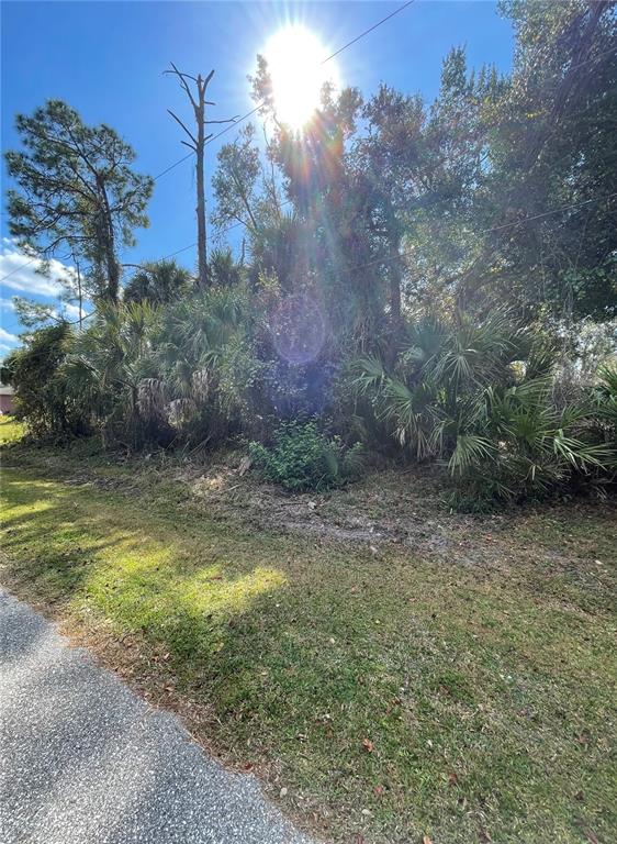 A grassy roadside area leads to a dense thicket of trees and palm bushes — Lot 18 LONGWELL LANE, NORTH PORT, FL