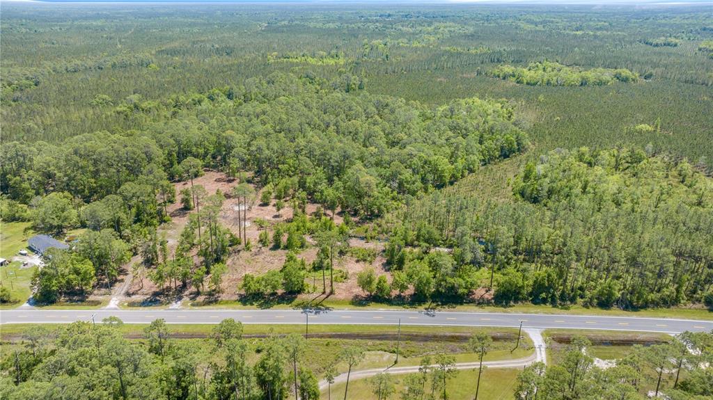 An aerial view shows a wooded lot bordering a paved road with a house nearby — 1351 SW STATE ROAD 24, CHIEFLAND, FL
