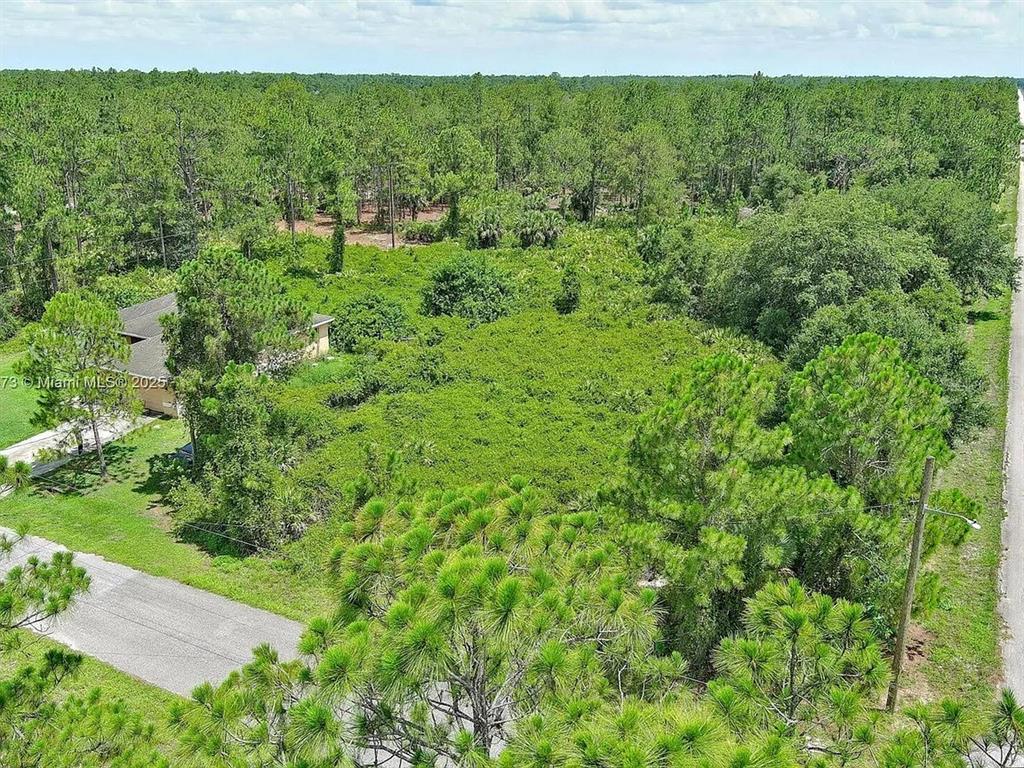 An aerial view shows a house partially hidden by dense vegetation and surrounding pine trees — 3100 E 13TH STREET, LEHIGH ACRES, FL