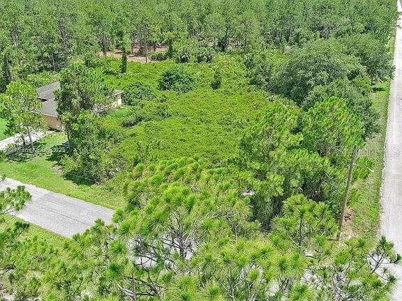 An aerial view shows a wooded lot next to a house and a paved road — 3100 E 13TH STREET, LEHIGH ACRES, FL