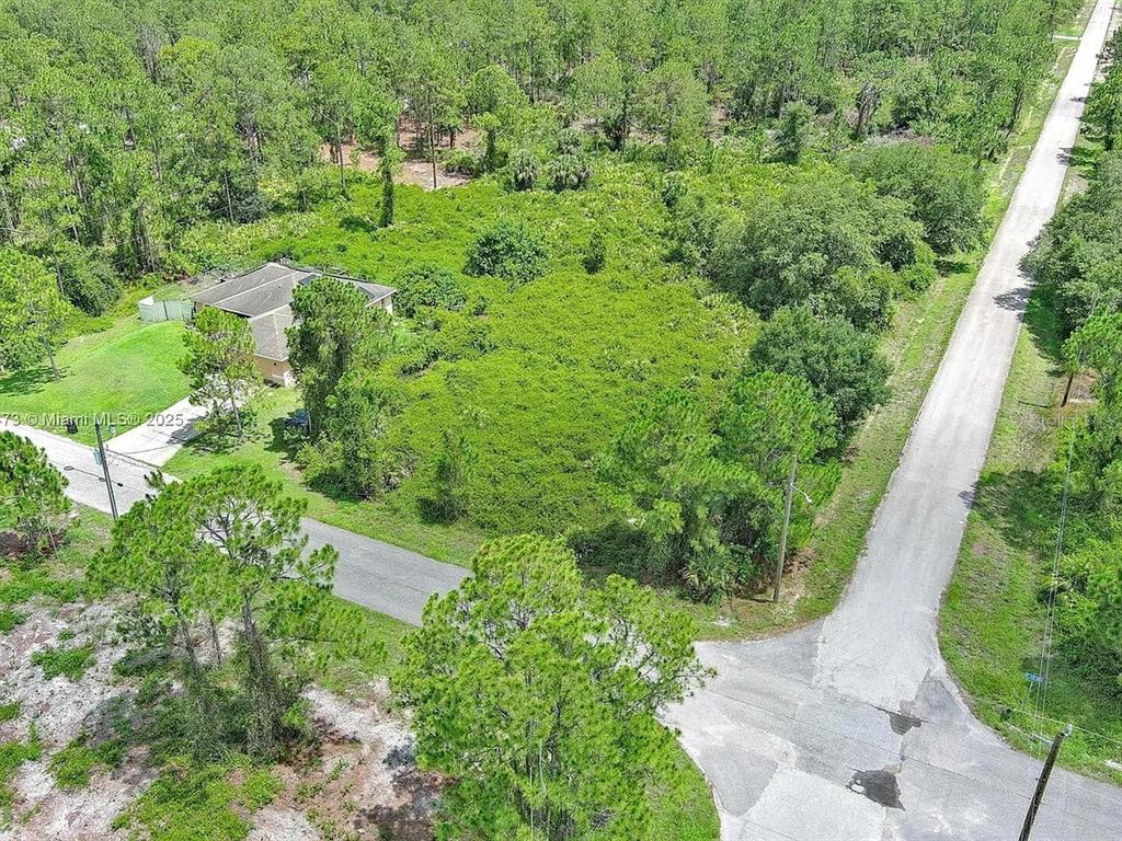 An aerial view shows a house next to a large, wooded, undeveloped lot — 3100 E 13TH STREET, LEHIGH ACRES, FL