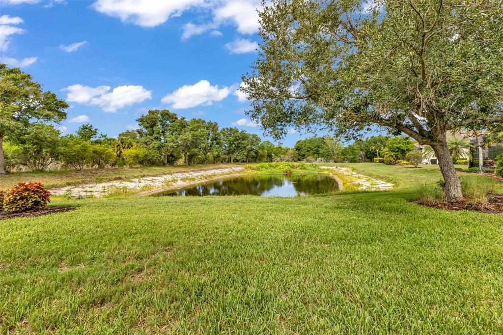 A grassy lawn slopes down toward a small pond surrounded by trees under a blue sky — 2205 TERRACINA DRIVE, VENICE, FL