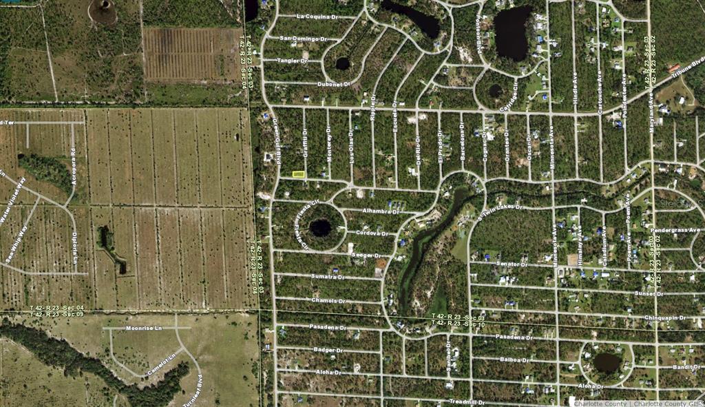 This is an aerial map showing a residential neighborhood with a highlighted vacant lot — 12355 GRAFFITI DRIVE, PUNTA GORDA, FL