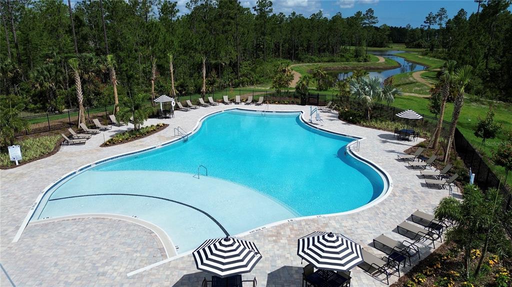 An aerial view of a community swimming pool surrounded by lounge chairs and palm trees — 305 FISHTAIL PLACE, PALM COAST, FL