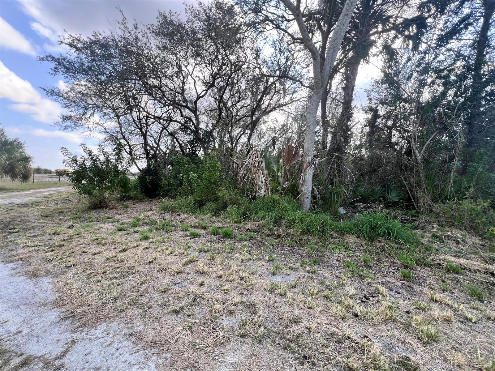 A dirt path leads toward a cluster of trees and shrubs on a sunny day — 4108 Sebring Lakes Boulevard, FL 33875, FL