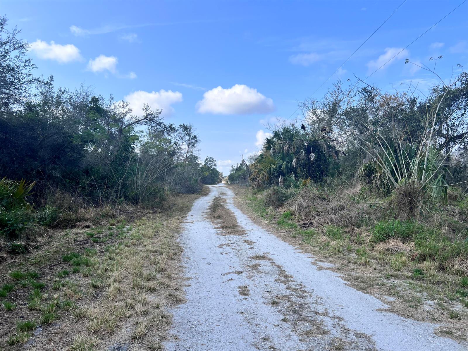 A dirt road stretches through a rural landscape with trees and vegetation on both sides — 4108 Sebring Lakes Boulevard, FL 33875, FL