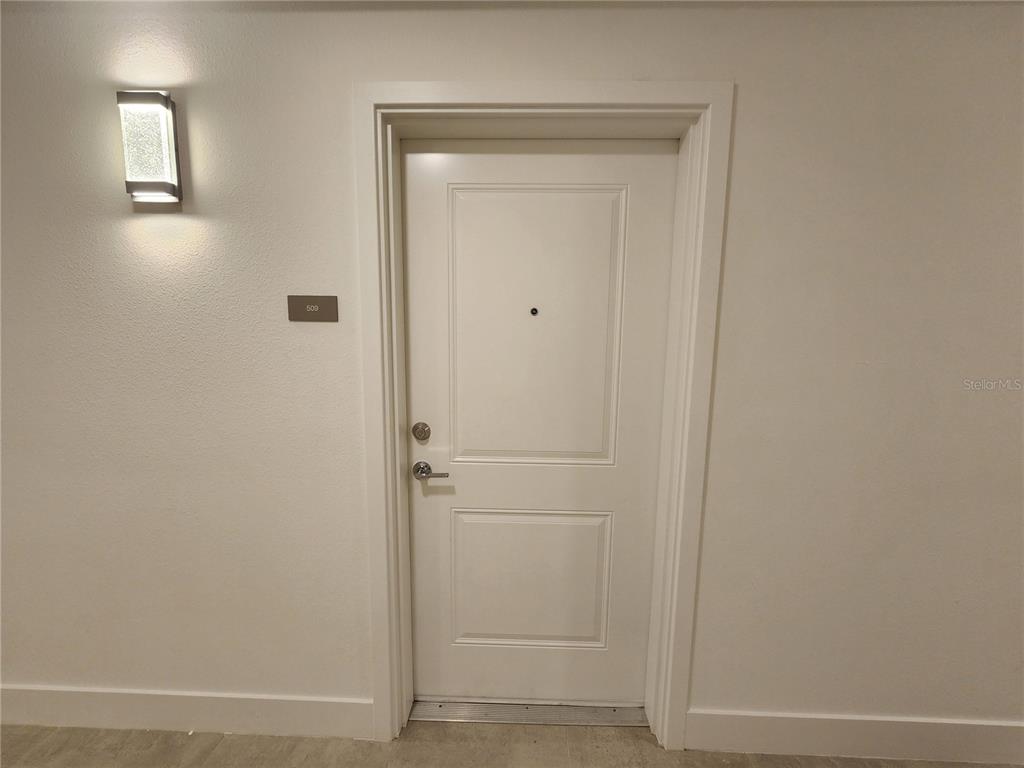 A white door with a peephole and silver hardware is set in a plain wall — 5579 MILLENIA PARK BLVD UNIT 509, ORLANDO, FL