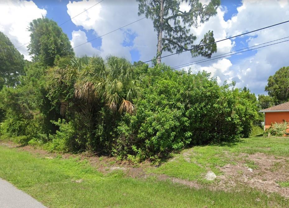 A dense thicket of green shrubs and palm trees stands next to a grassy lot — RIBBON TERRACE, NORTH PORT, FL