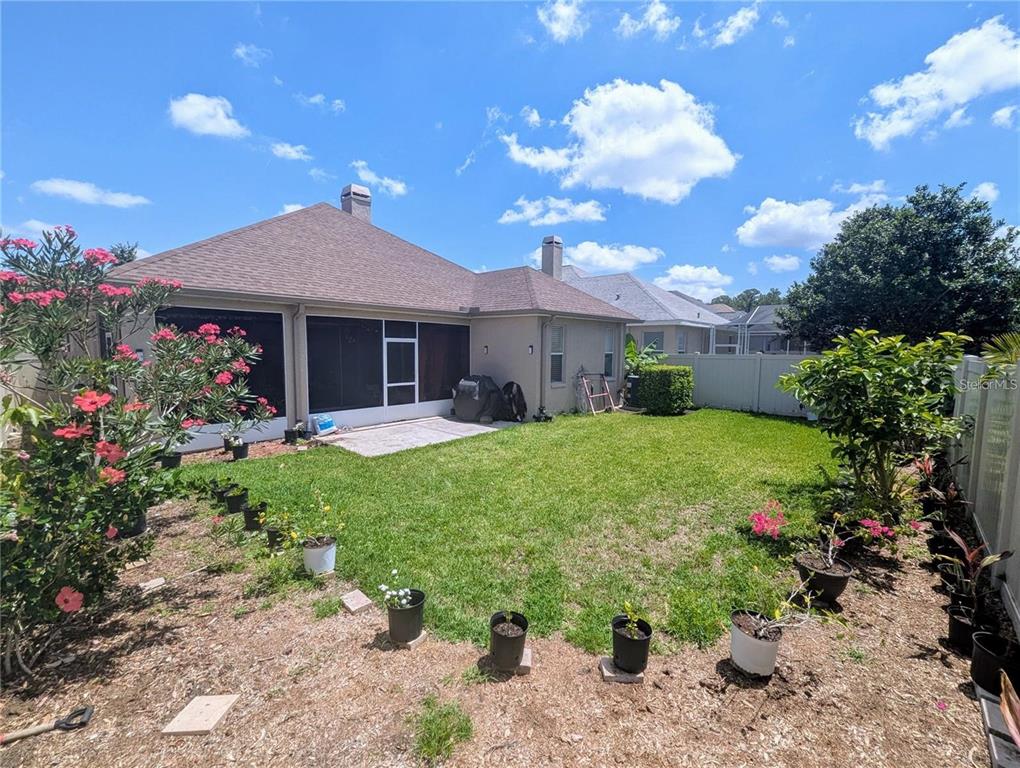The backyard features a screened-in patio, a grassy lawn, and various potted plants — 11236 BLACKSMITH DRIVE, TAMPA, FL