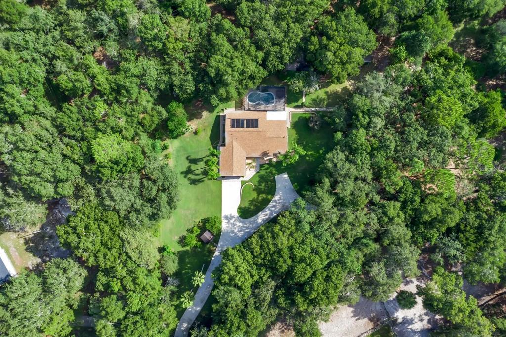 An aerial view shows a house with a pool and driveway surrounded by dense trees — 2619 W PONKAN ROAD, APOPKA, FL