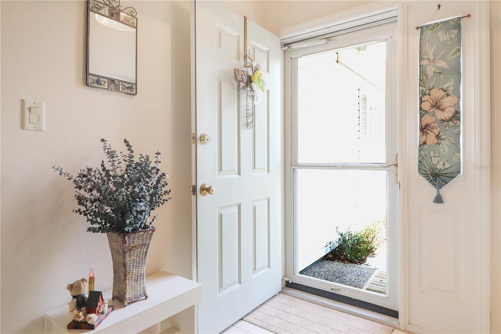 An entryway features a white door, a storm door, a mirror, and a decorative plant — 25339 CRESTWATER DRIVE, LEESBURG, FL