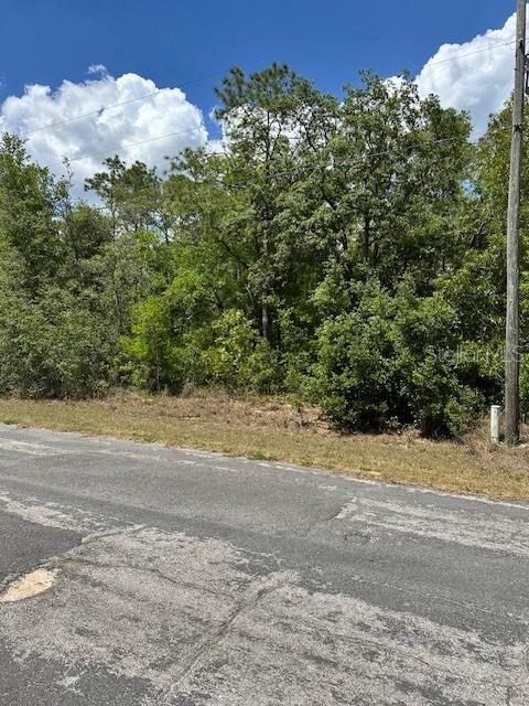 A paved road runs in front of a wooded lot with dense trees and vegetation — 2235 W SUMMER PLACE, DUNNELLON, FL