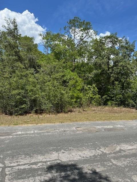 A vacant, wooded lot sits behind a paved road under a blue sky — 2235 W SUMMER PLACE, DUNNELLON, FL