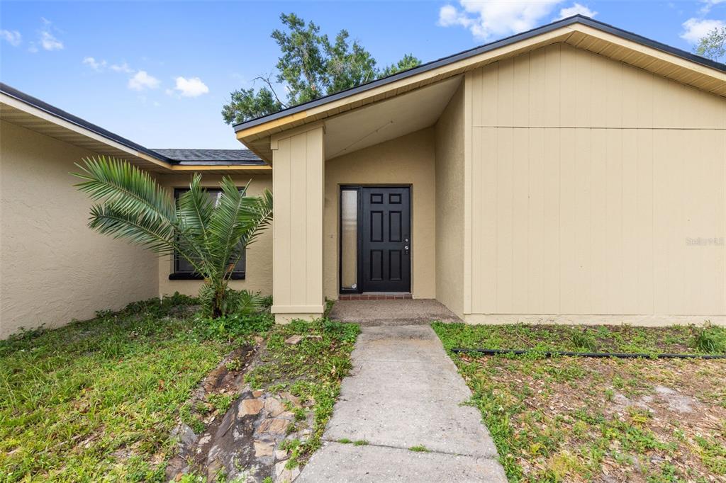 A beige house exterior features a black front door, a concrete walkway, and a palm tree — 17635 MEADOWBRIDGE DRIVE, LUTZ, FL
