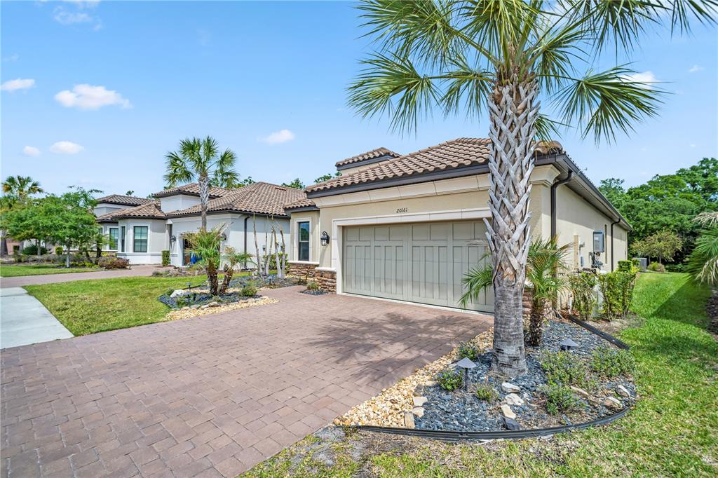 A single-story house with a paved driveway, a two-car garage, and palm trees in front — 20161 UMBRIA HILL DRIVE, TAMPA, FL