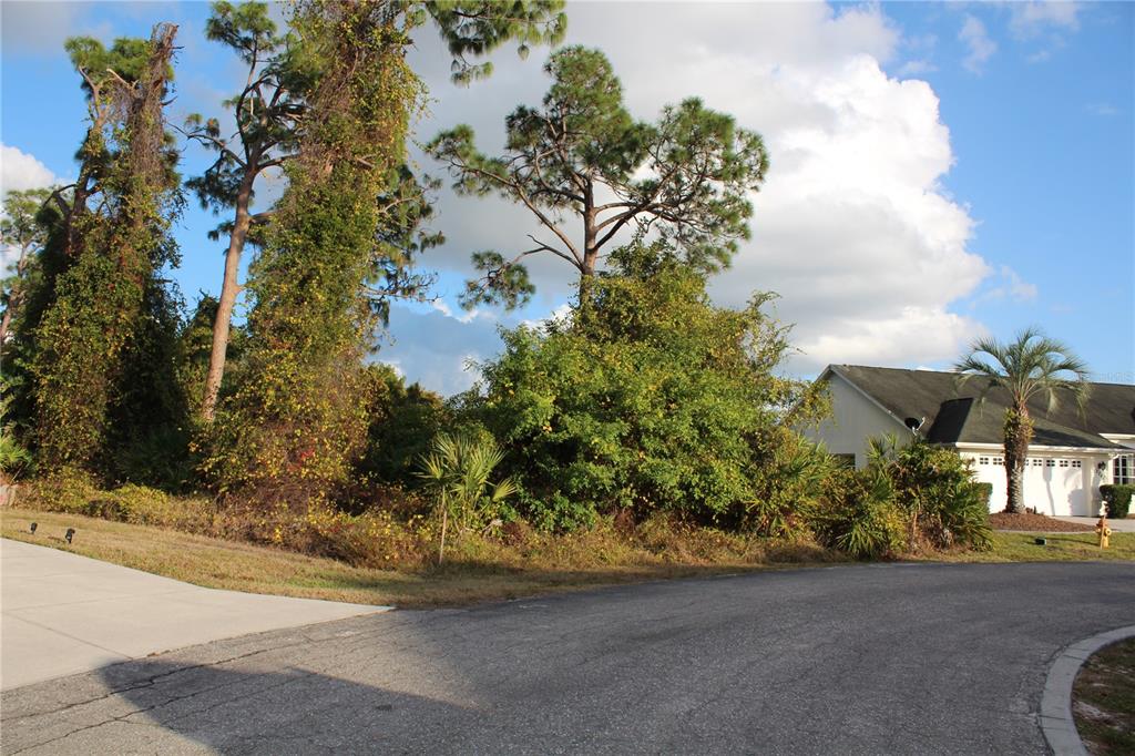 A vacant, wooded residential lot sits next to a house and a paved street — 2250 STONEGATE CIRCLE, PORT CHARLOTTE, FL