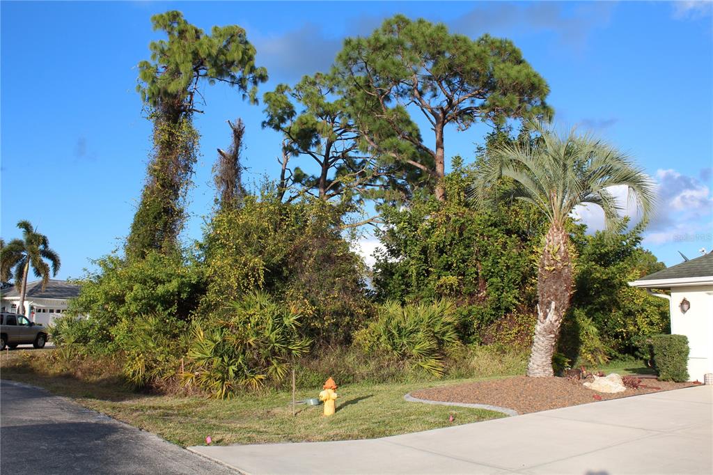 A vacant, overgrown residential lot with several large pine trees and a fire hydrant — 2250 STONEGATE CIRCLE, PORT CHARLOTTE, FL