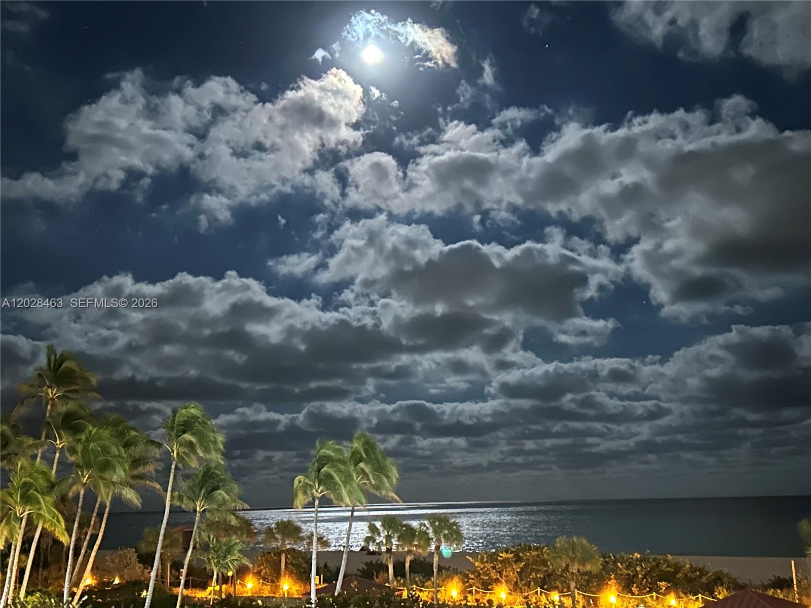A night view of a beach with palm trees under a moonlit cloudy sky — 2555 Collins Ave # 403, Miami Beach FL 33140, MIAMI BEACH, FL