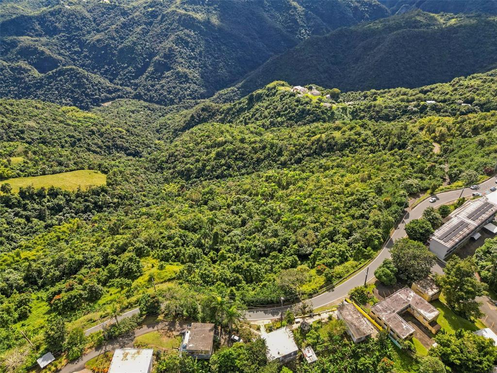 An aerial view shows a winding road cutting through a lush, mountainous, and forested landscape — Carr. 156 KM 20.1 INTERIOR BO. HONDURAS, BARRANQUITAS, PR